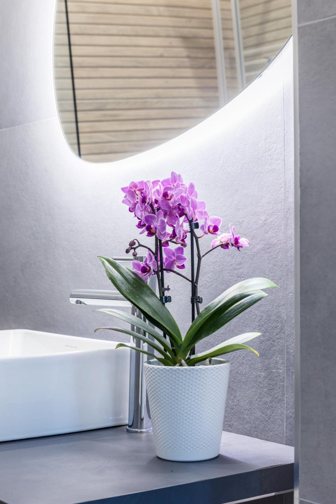 Apartament Mhouse Roma Zewnętrze zdjęcie